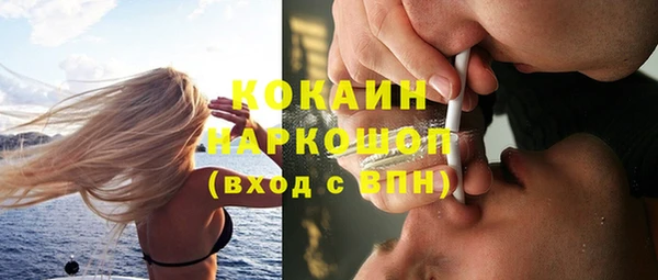 хмурый Алзамай