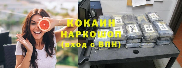 хмурый Алзамай