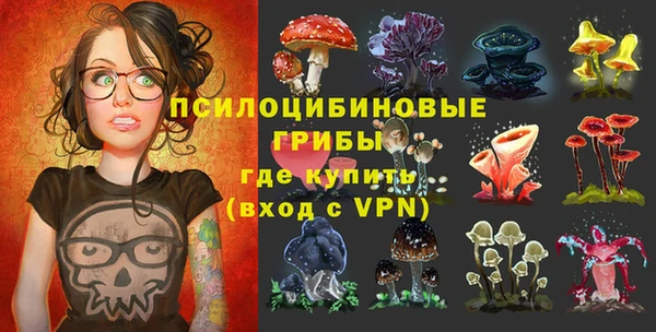 хмурый Алзамай